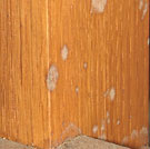 Schimmel in Orgeln (Großbild ca. 55 KB)