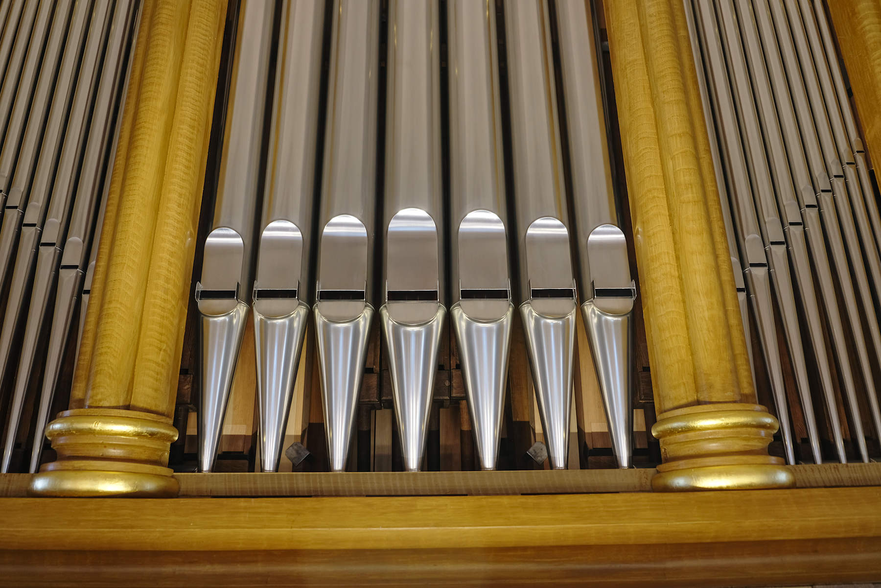 Orgel Bardewisch